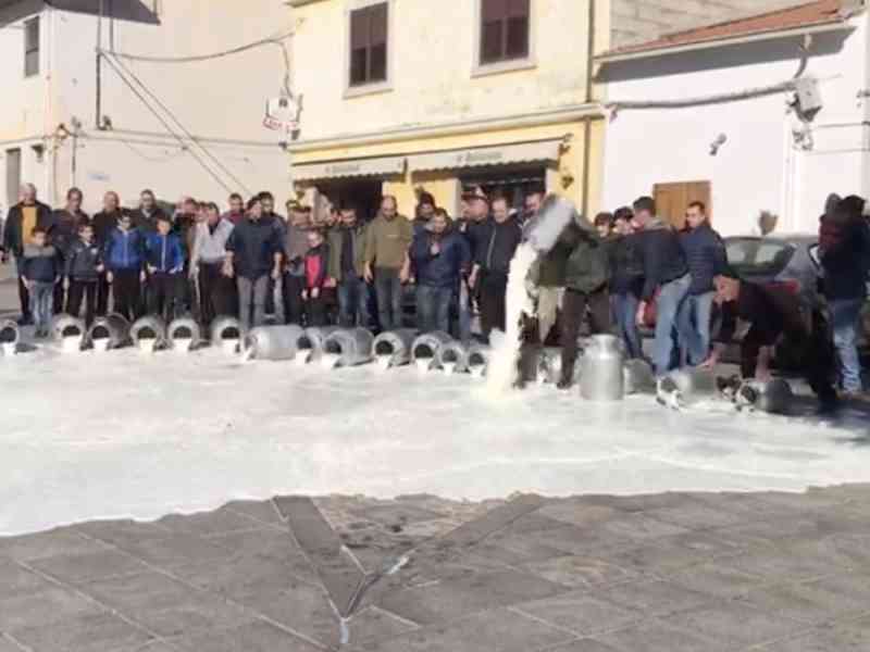La Protesta dei Pastori Sardi